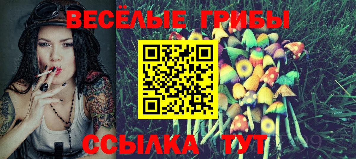 Новошахтинск  Галлюциногенные грибы Psilocybe  Вход с VPN 