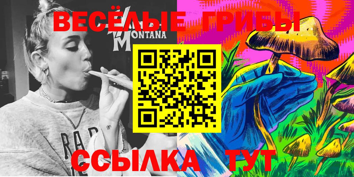 Псилоцибиновые грибы Magic Shrooms Новошахтинск